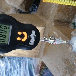 小さいながらも1杯